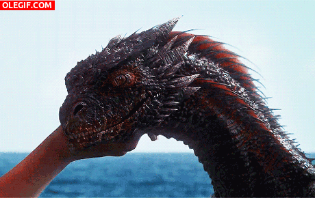 GIF: Este dragón tiene hambre