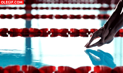 GIF: Nadador entrando en el agua