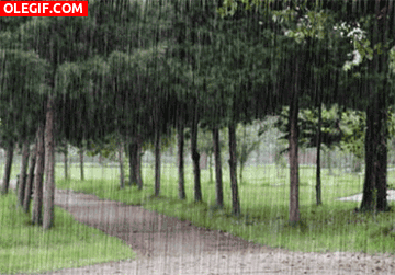 GIF: Lluvia en el campo