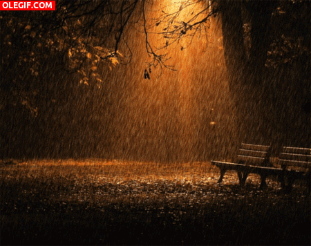 GIF: Llueve en la noche