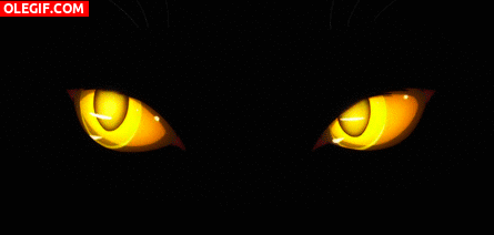 GIF: Ojos de gato luciendo en la oscuridad