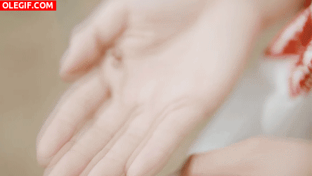 GIF: Mariquita en la palma de la mano