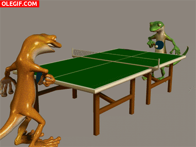 GIF: Una partida de ping-pong