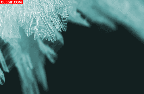 GIF: Formación de cristales de hielo