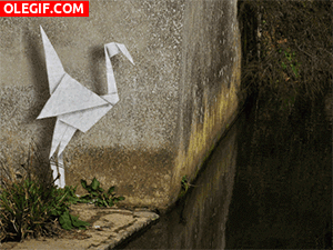 GIF: Garza origami pescando