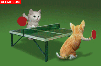 GIF: ¡Juguemos al ping-pong!