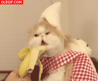 GIF: Este plátano esta bien rico