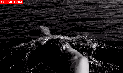 GIF: Hombre nadando