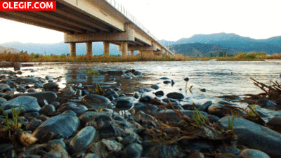 GIF: Río bajo el puente