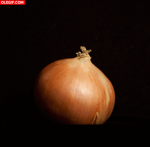 GIF: Las capas de una cebolla