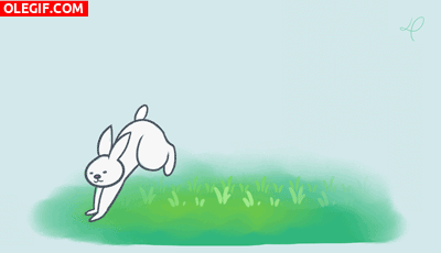 GIF: Conejo dando brincos