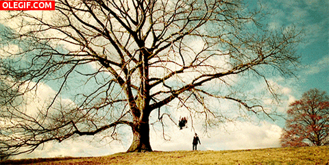 GIF: Columpio en el árbol