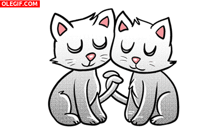 GIF: Gatos enamorados