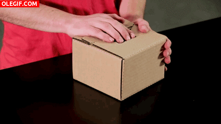 GIF: Montando una caja