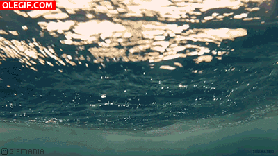GIF: Bajo el agua