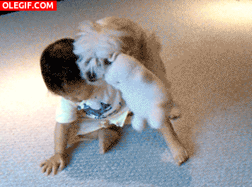 GIF: Este perro quiere mucho al bebé