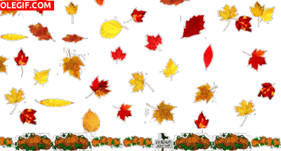 GIF: Llegó el otoño
