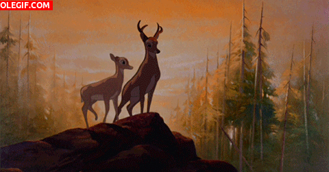GIF: Hermosa escena de Bambi