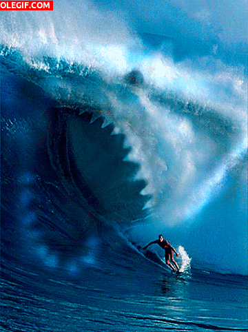 GIF: Tiburón acechando al surfista