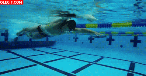 GIF: Hombre nadando en la piscina