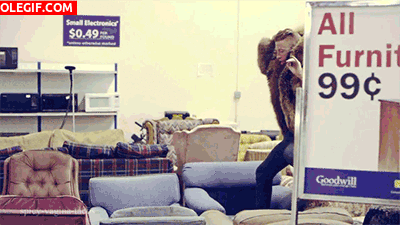 GIF: Cuando voy a Ikea y pruebo los sofás