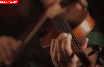 GIF: Tocando el violín