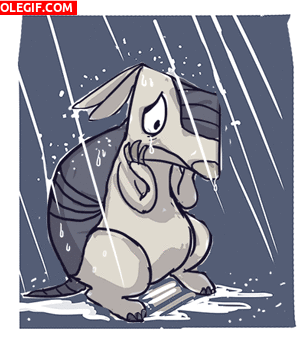 GIF: Armadillo bajo la lluvia
