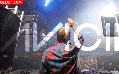 GIF: DJ Avicii