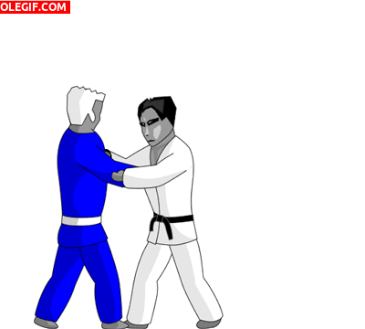 GIF: Llave de Judo