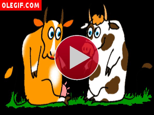 GIF: Vacas enamoradas