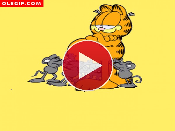 GIF: Ratones tocando la tripa a Garfield