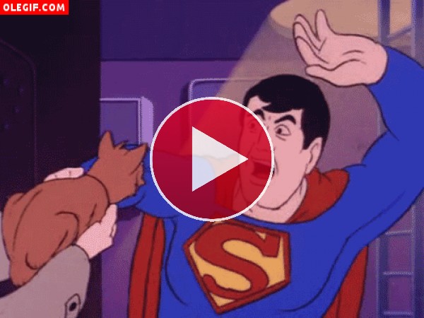 GIF: Tranquilo Superman, solo es un inofensivo gato