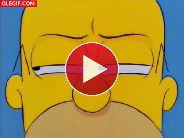 GIF: Las sospechas de Homer