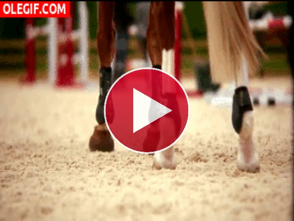 GIF: Las patas de un caballo