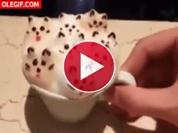 GIF: Gatitos en una taza de café