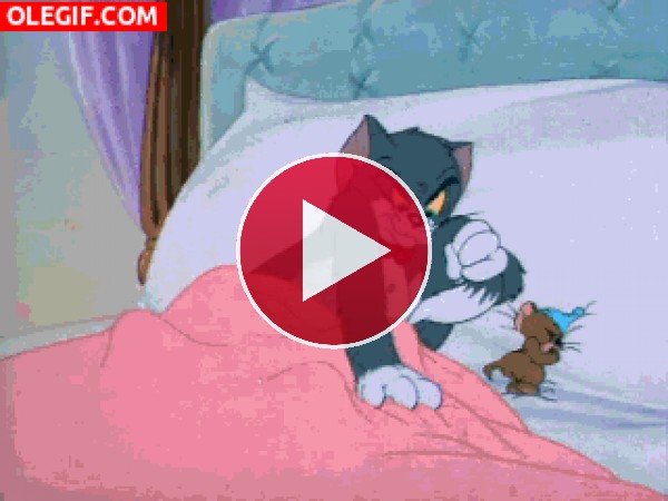 GIF: Tom y Jerry durmiendo juntos