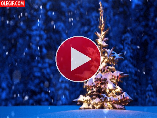 GIF: Nieve cayendo sobre un Árbol de Navidad