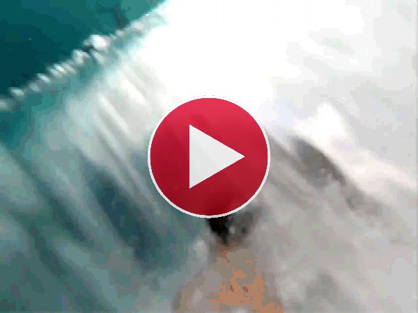 GIF: Surfeando una ola