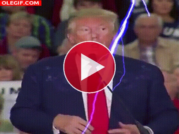 GIF: Donald Trump electrocutándose