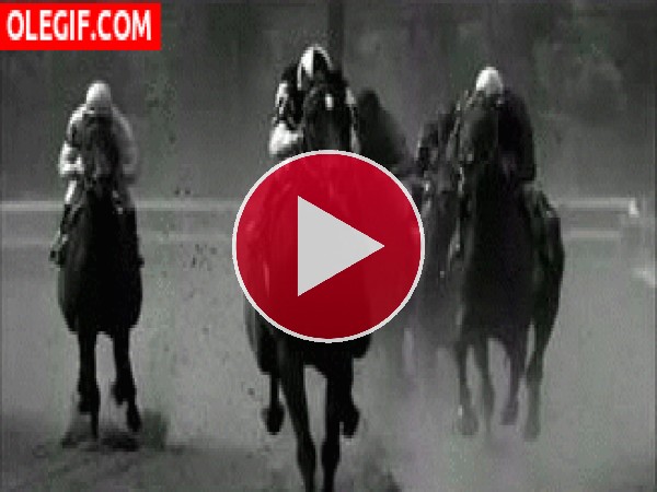 GIF: Carrera de caballos