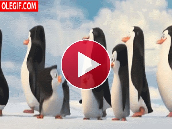 GIF: Derribando pingüinos