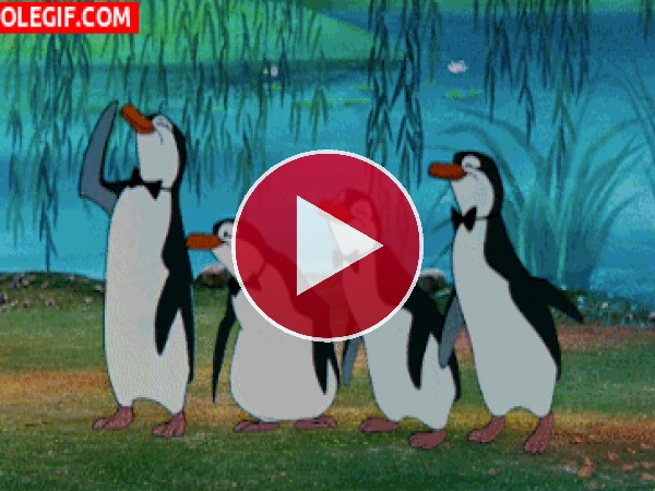 GIF: A estos pingüinos les gusta bailar