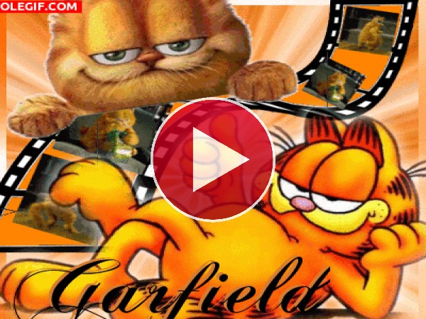 GIF: El divertido Garfield