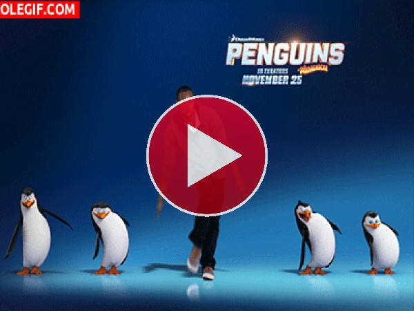 GIF: Los pingüinos de Madagascar